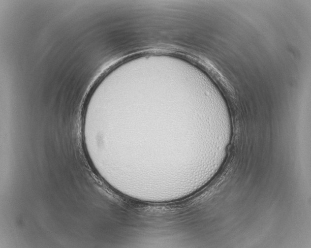 X0000115621232200912081016