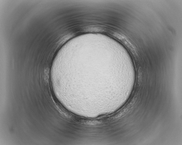 X0000115621233200912081016