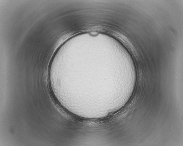 X0000115621234200912081016