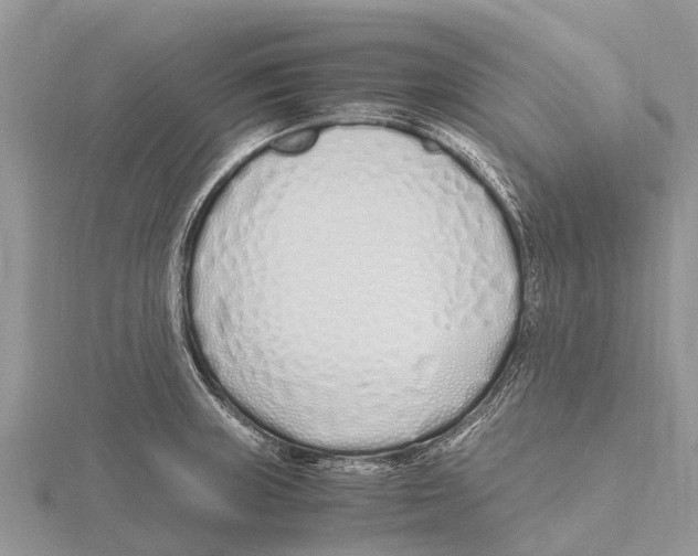 X0000115621235200912081016