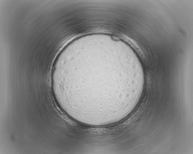 X0000115621236200912081016