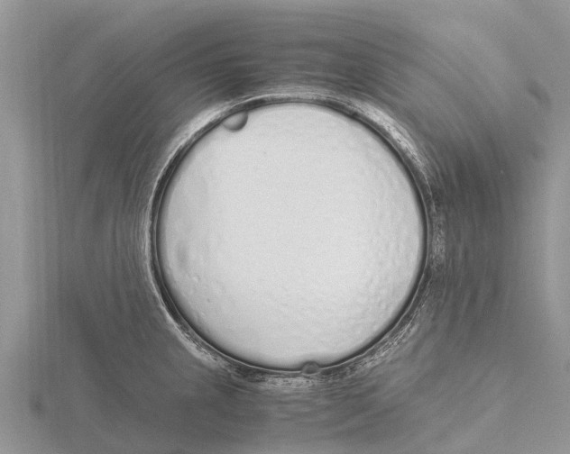 X0000115621237200912081016