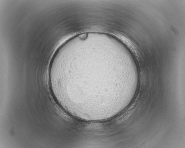 X0000115621238200912081016