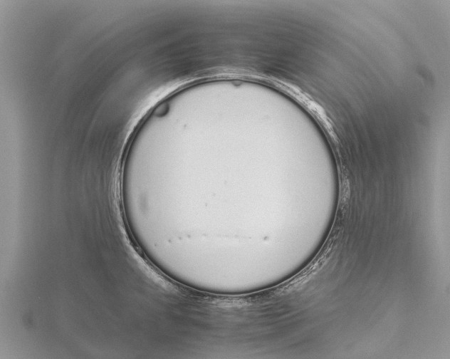 X0000115621239200912081016