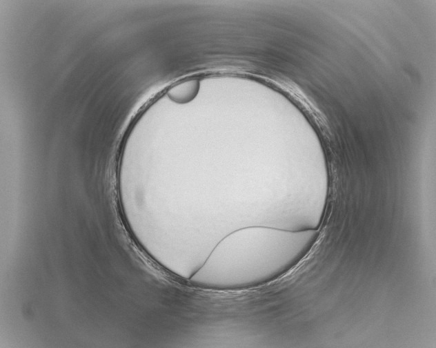 X0000115621240200912081016