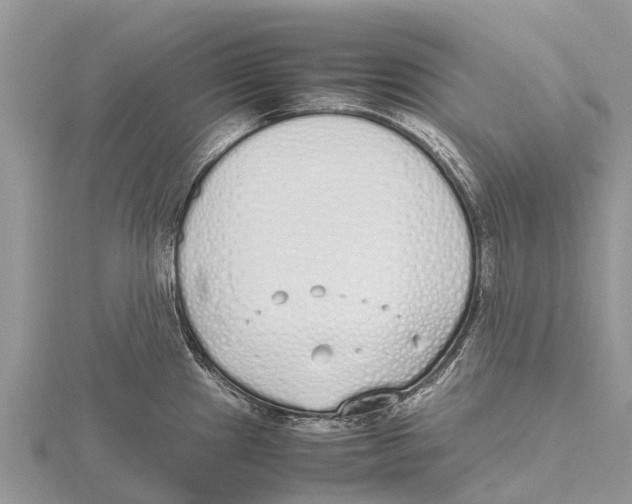 X0000115621241200912081016