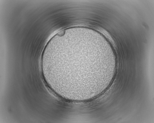 X0000115621242200912081016