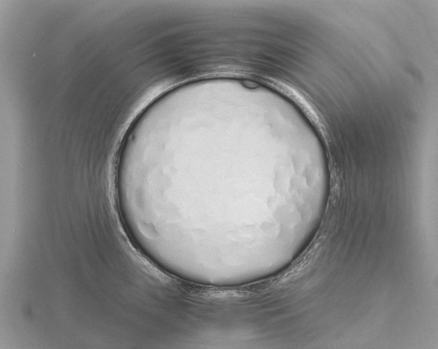 X0000115621243200912081016