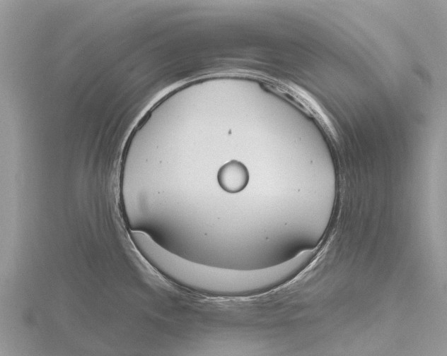 X0000115621244200912081016