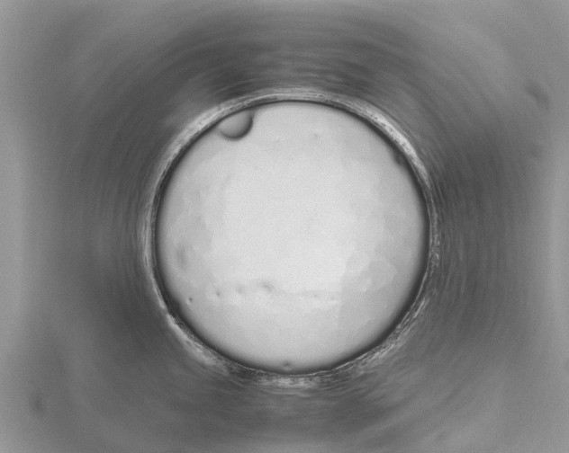 X0000115621245200912081016