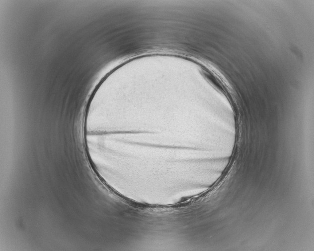 X0000115621246200912081016