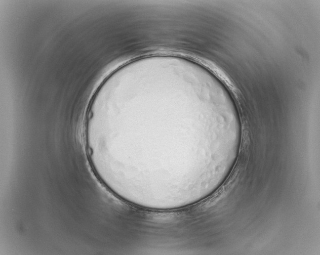 X0000115621247200912081016