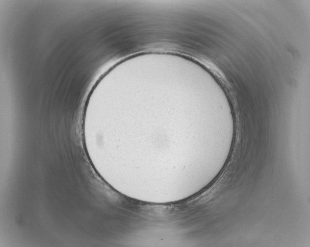 X0000115621248200912081016