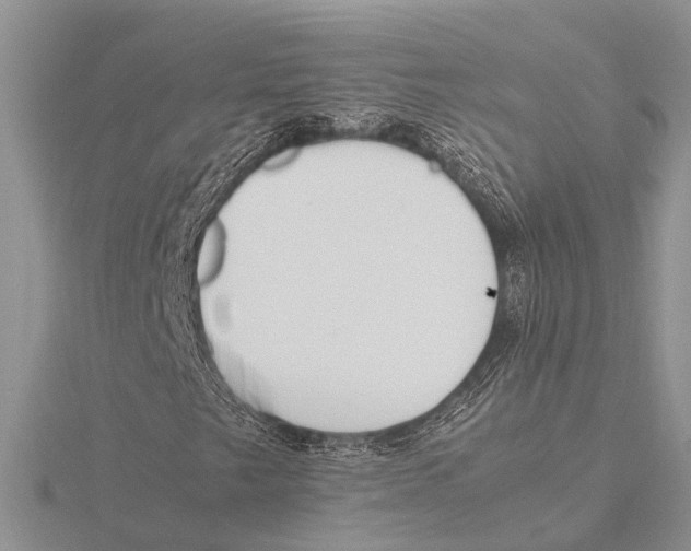 X0000115621249200912081016