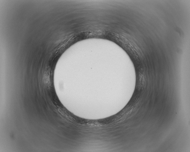 X0000115621250200912081016