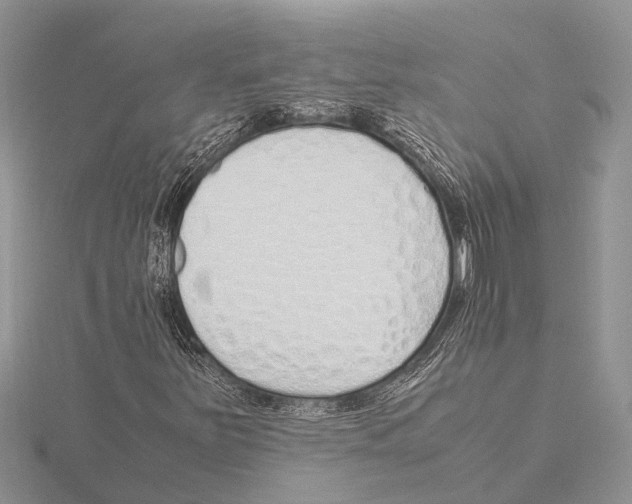 X0000115621251200912081016