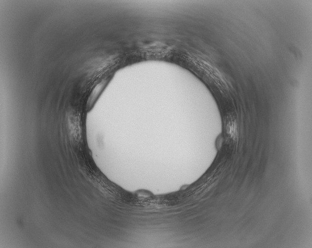 X0000115621252200912081016