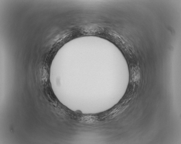 X0000115621253200912081016