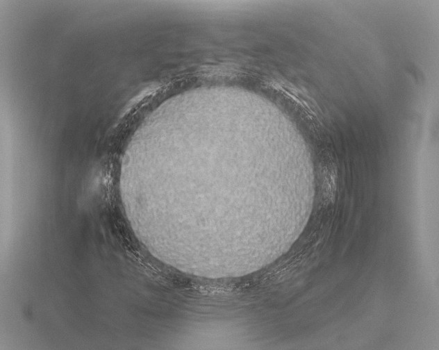 X0000115621254200912081016