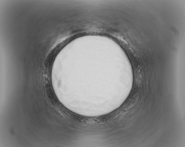 X0000115621255200912081016