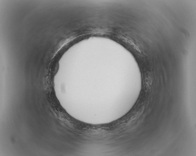 X0000115621256200912081016