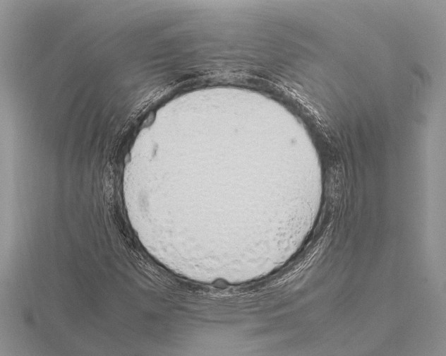 X0000115621257200912081016