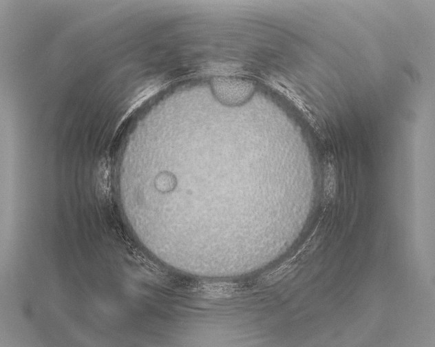 X0000115621258200912081016