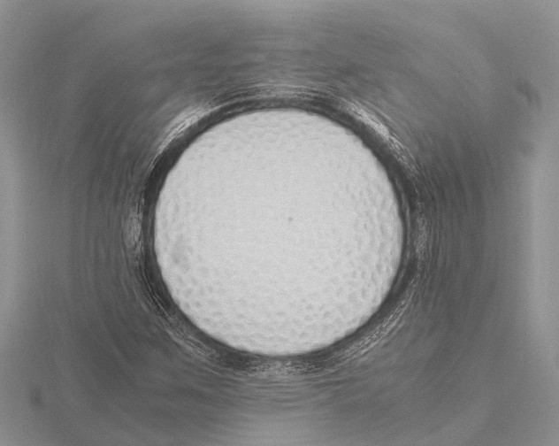 X0000115621259200912081016