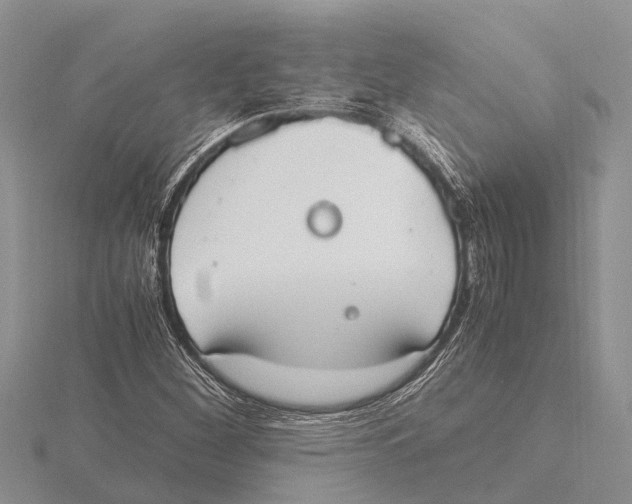 X0000115621260200912081016