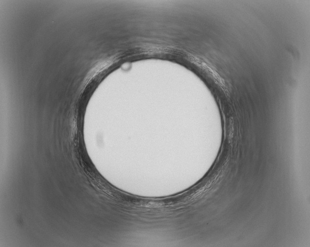 X0000115621261200912081016