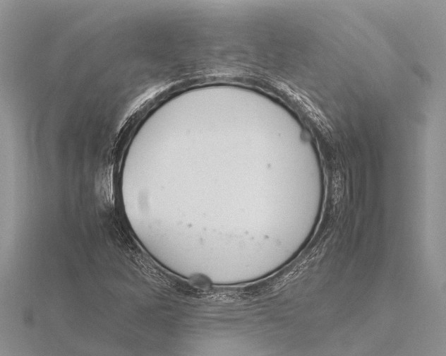 X0000115621262200912081016