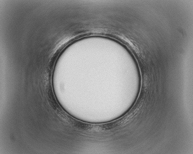 X0000115621263200912081016