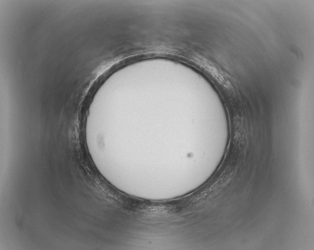 X0000115621264200912081016