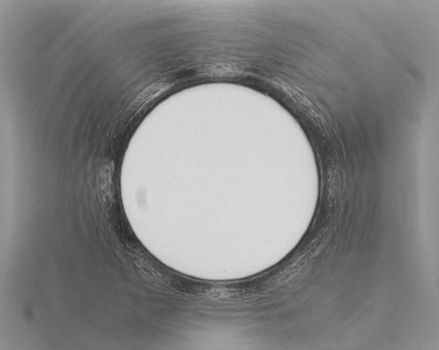 X0000115621265200912081016