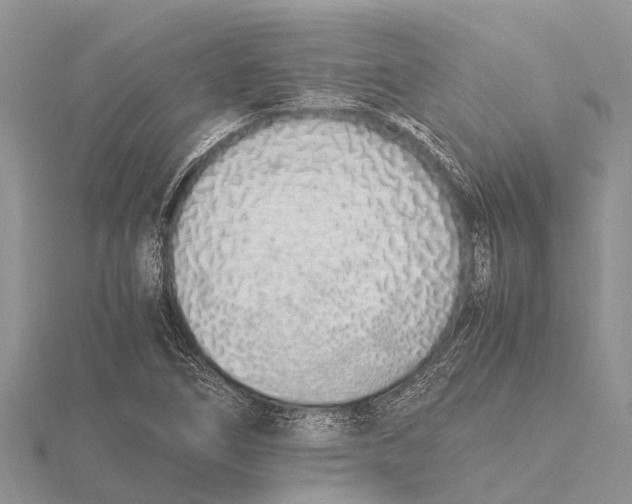 X0000115621266200912081016