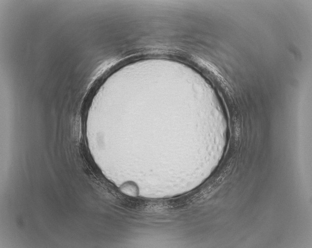 X0000115621267200912081016