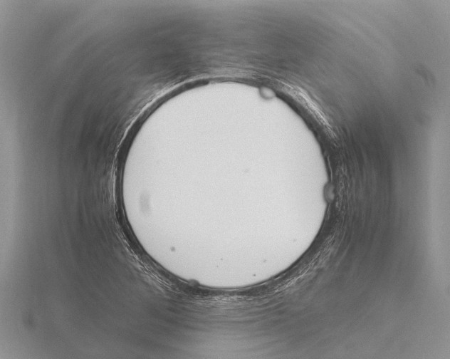 X0000115621268200912081016