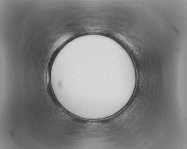 X0000115621269200912081016