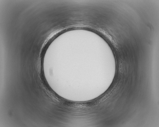 X0000115621270200912081016