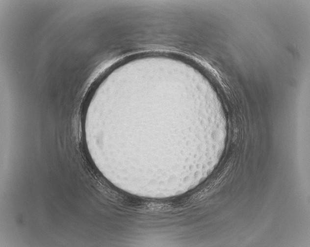 X0000115621271200912081016