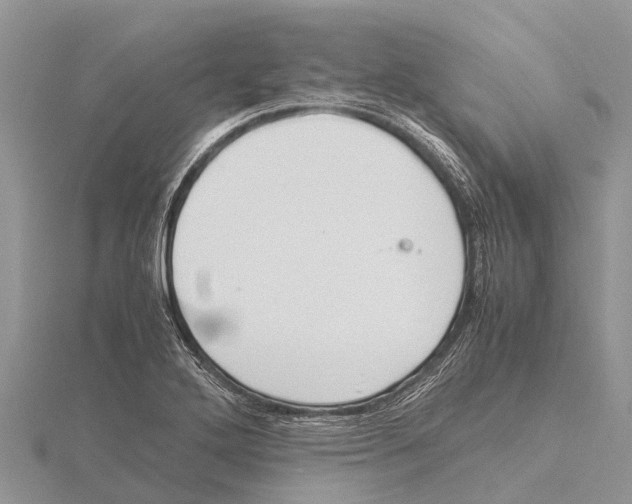 X0000115621272200912081016