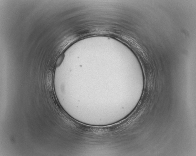 X0000115621273200912081016