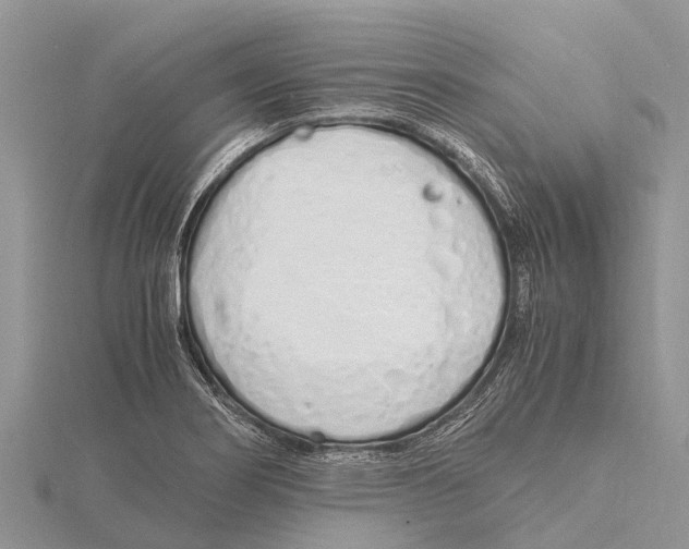 X0000115621274200912081016