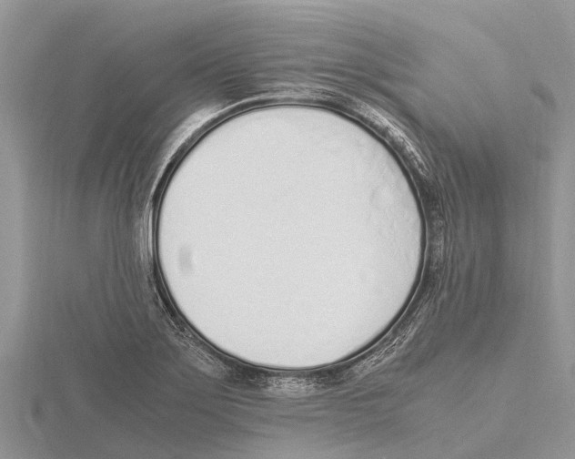 X0000115621275200912081016