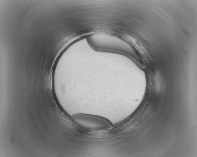 X0000115621276200912081016