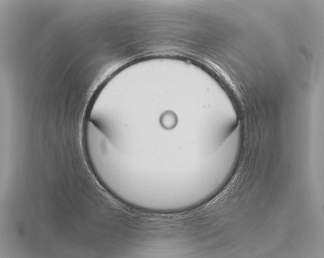 X0000115621277200912081016