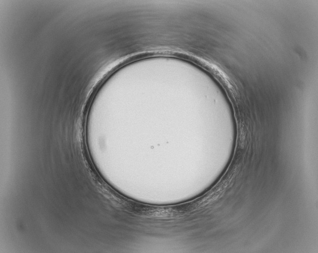 X0000115621279200912081016