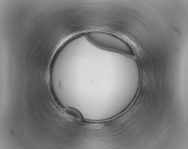 X0000115621280200912081015