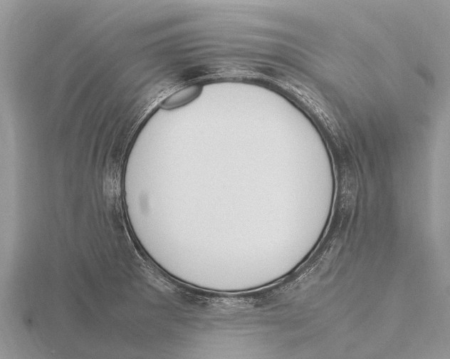 X0000115621281200912081015