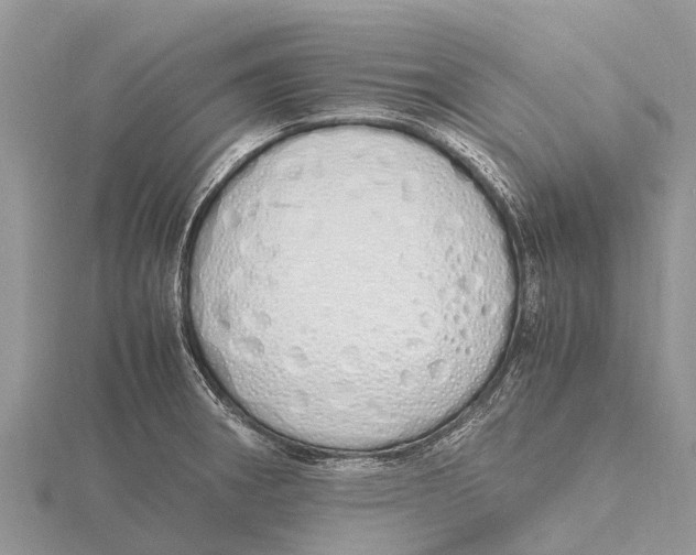 X0000115621282200912081015